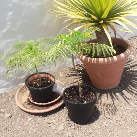 Nueva Piscina Privada Дом отдыха *