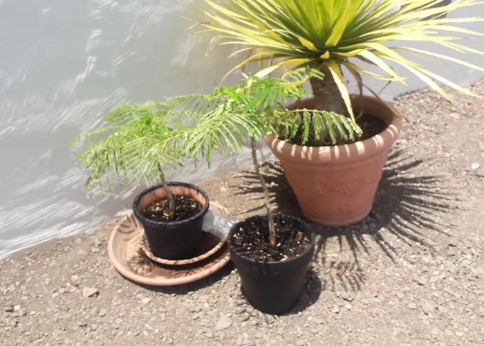 Nueva Piscina Privada Vakantiehuis *