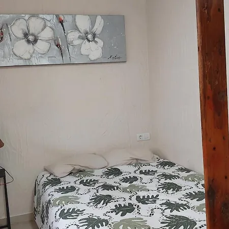 Nueva Piscina Privada Santa Cruz de Tenerife